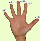 rechte Hand